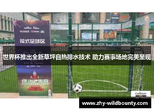 世界杯推出全新草坪自热排水技术 助力赛事场地完美呈现