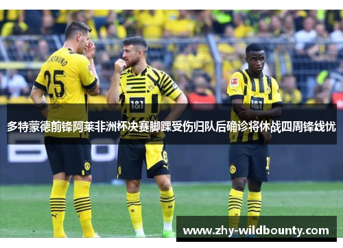 多特蒙德前锋阿莱非洲杯决赛脚踝受伤归队后确诊将休战四周锋线忧 多特蒙德前锋阿莱非洲杯决赛脚踝受伤归队后确诊将休战四周锋线忧