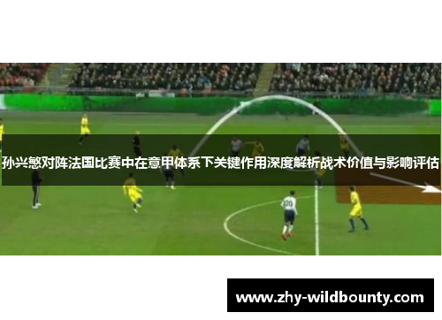 孙兴慜对阵法国比赛中在意甲体系下关键作用深度解析战术价值与影响评估 孙兴慜对阵法国比赛中在意甲体系下关键作用深度解析战术价值与影响评估