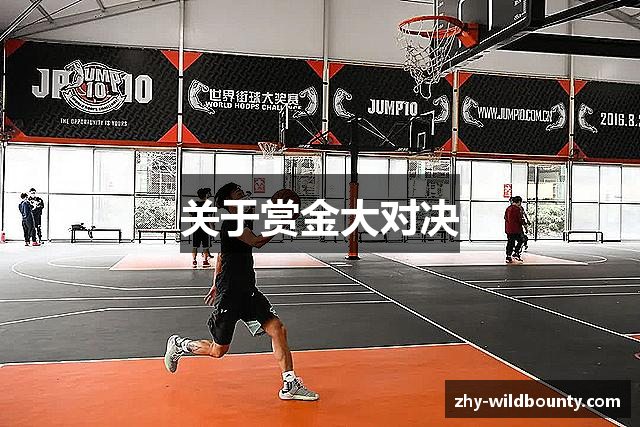 关于赏金大对决